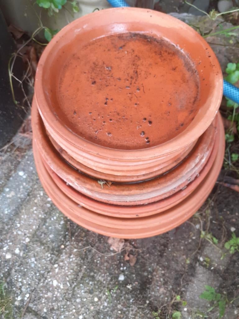 Terracotta plantenschotels, Ophalen, Rond, Steen, Minder dan 30 cm