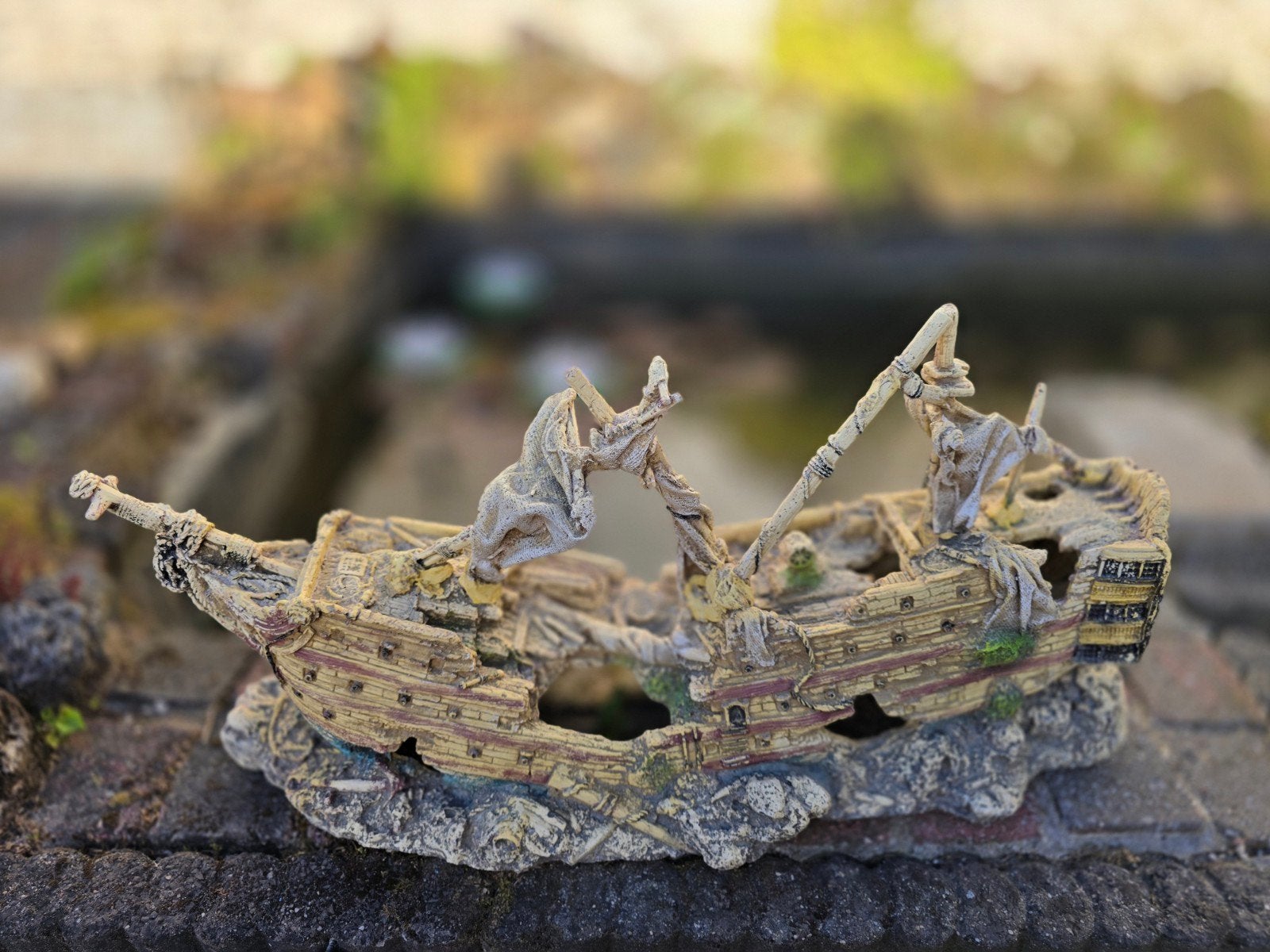 Schip / Aquariumschip
