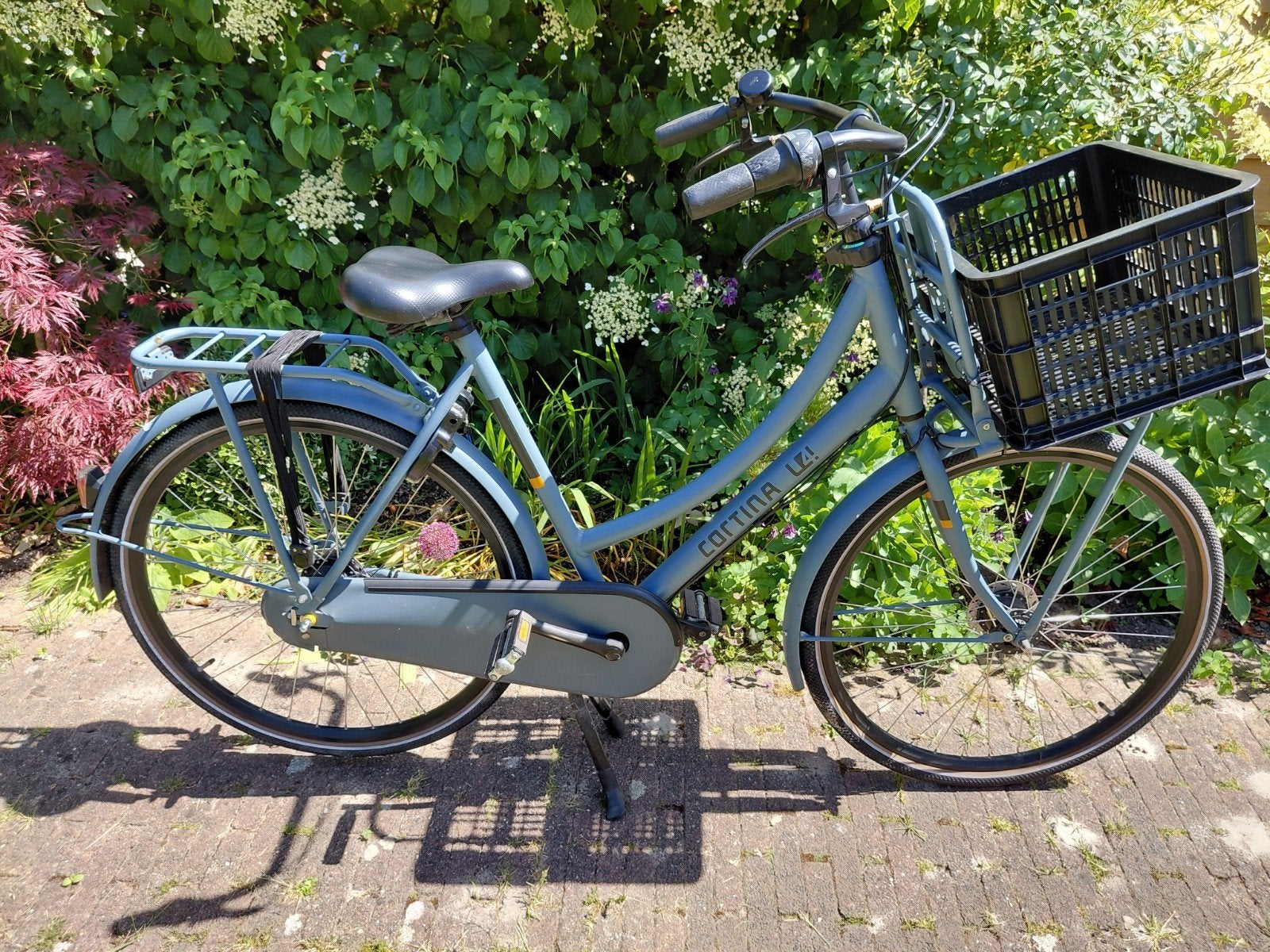 Te koop: Cortina damesfiets, inclusief diefstalverzekering, 56 cm of meer, Ophalen