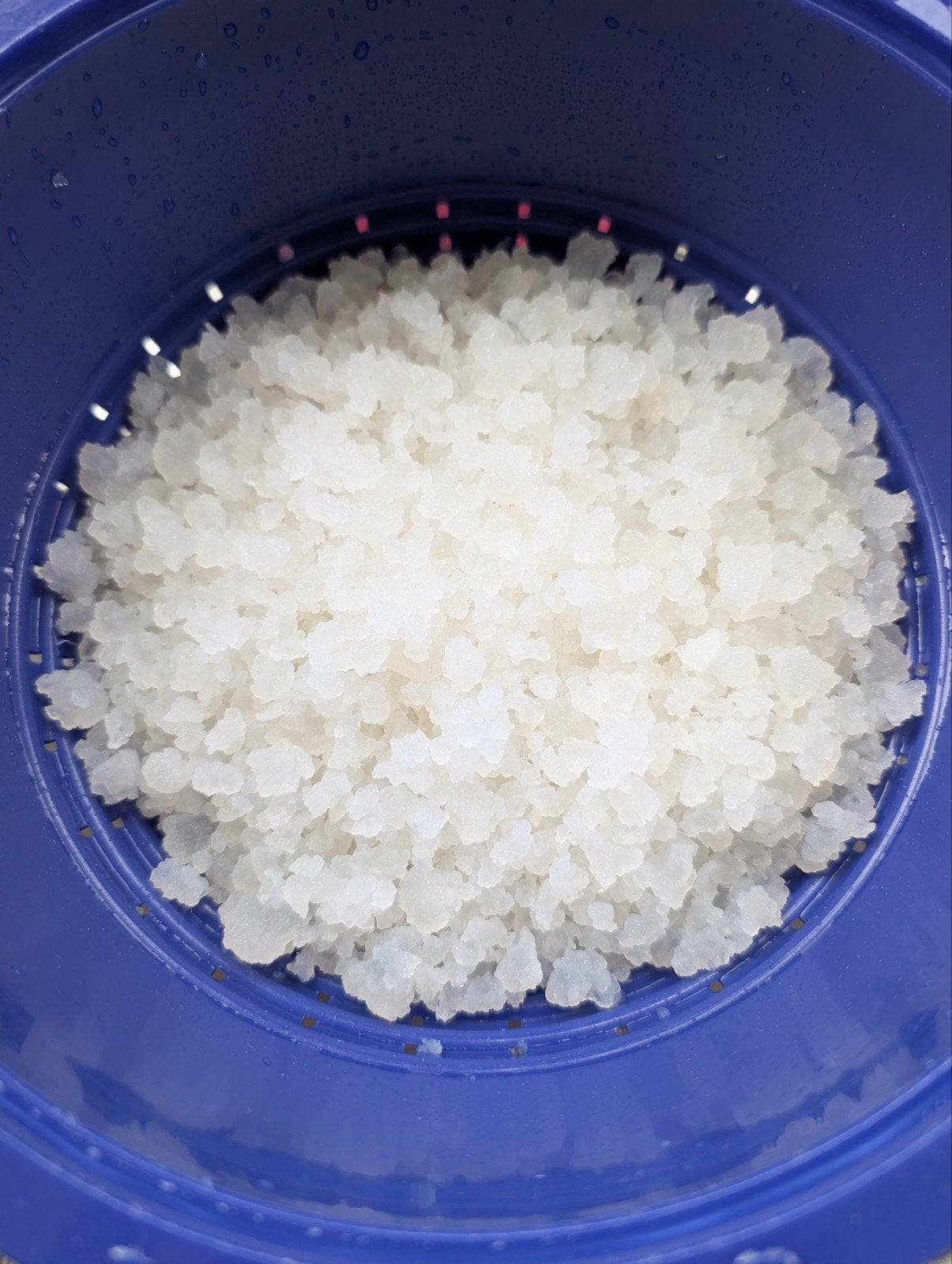 Waterkefir korrels per 100 gram, Ophalen
