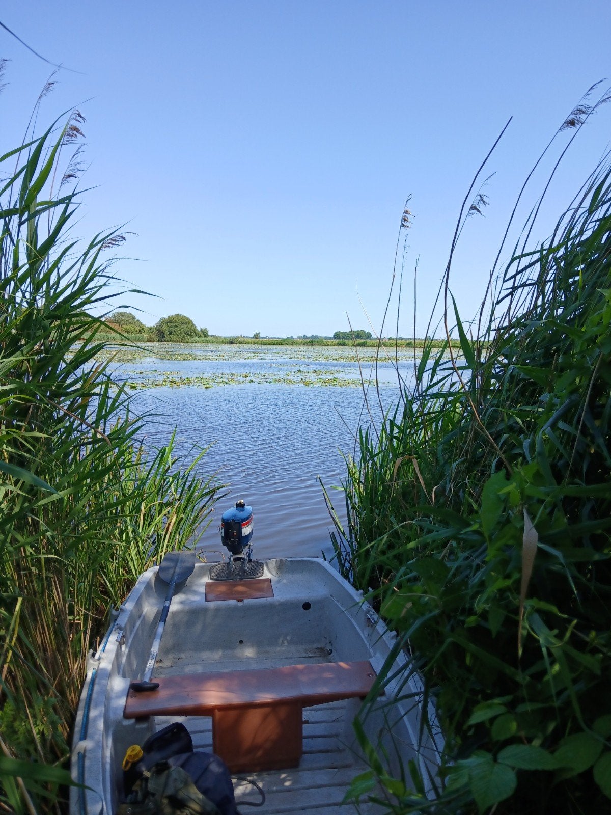 boot plus motor, Ophalen of Verzenden