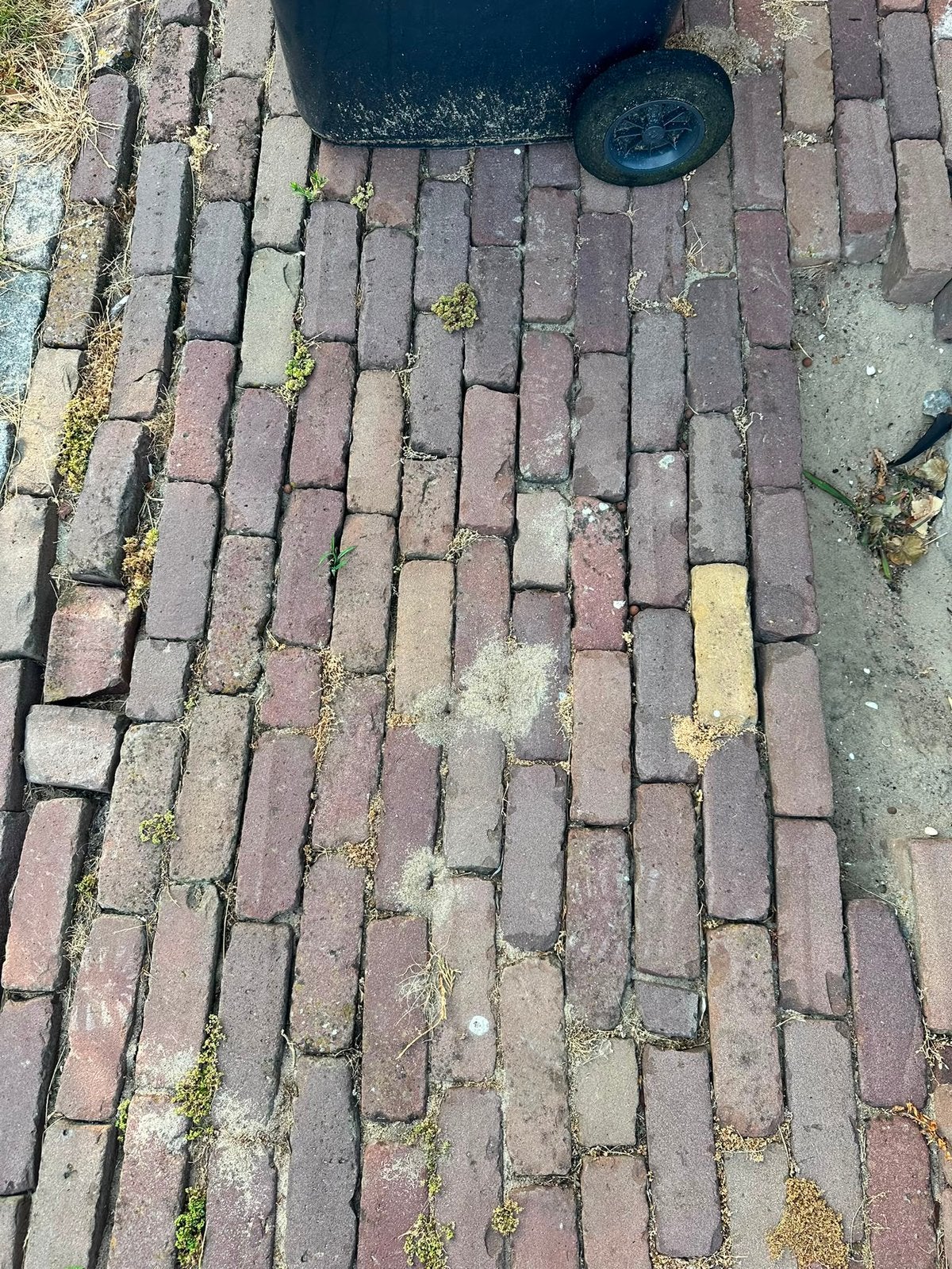 Gratis klinkers, Tuin en Terras, Ophalen, Zo goed als nieuw, Beton, Klinkers