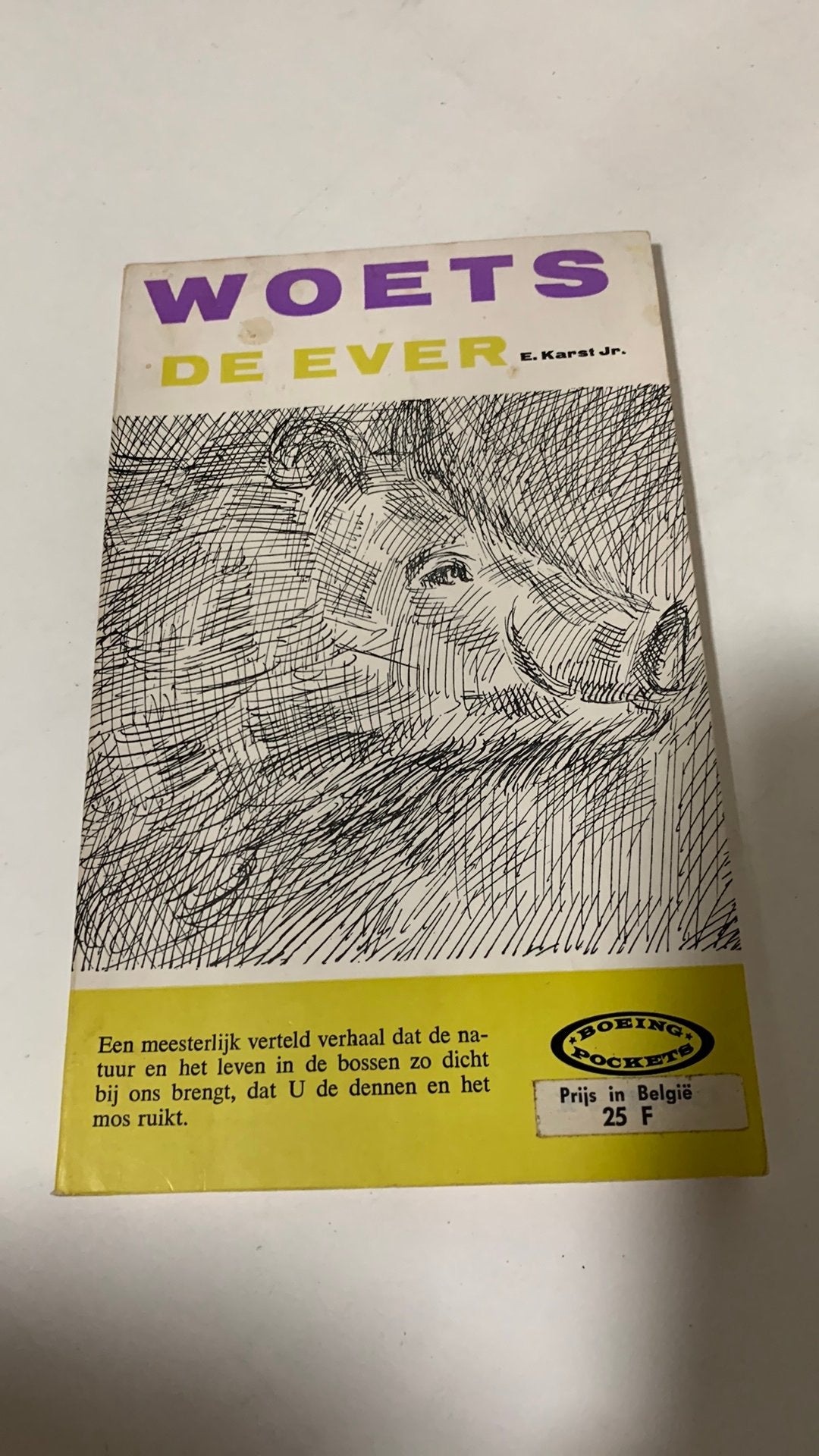 Woets de Ever - E. Karst Jr. (Boek), Ophalen of Verzenden, Zo goed als nieuw, Overige onderwerpen
