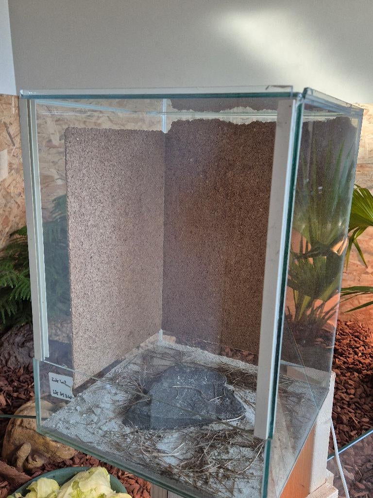 Terrarium, 0 tot 2 jaar