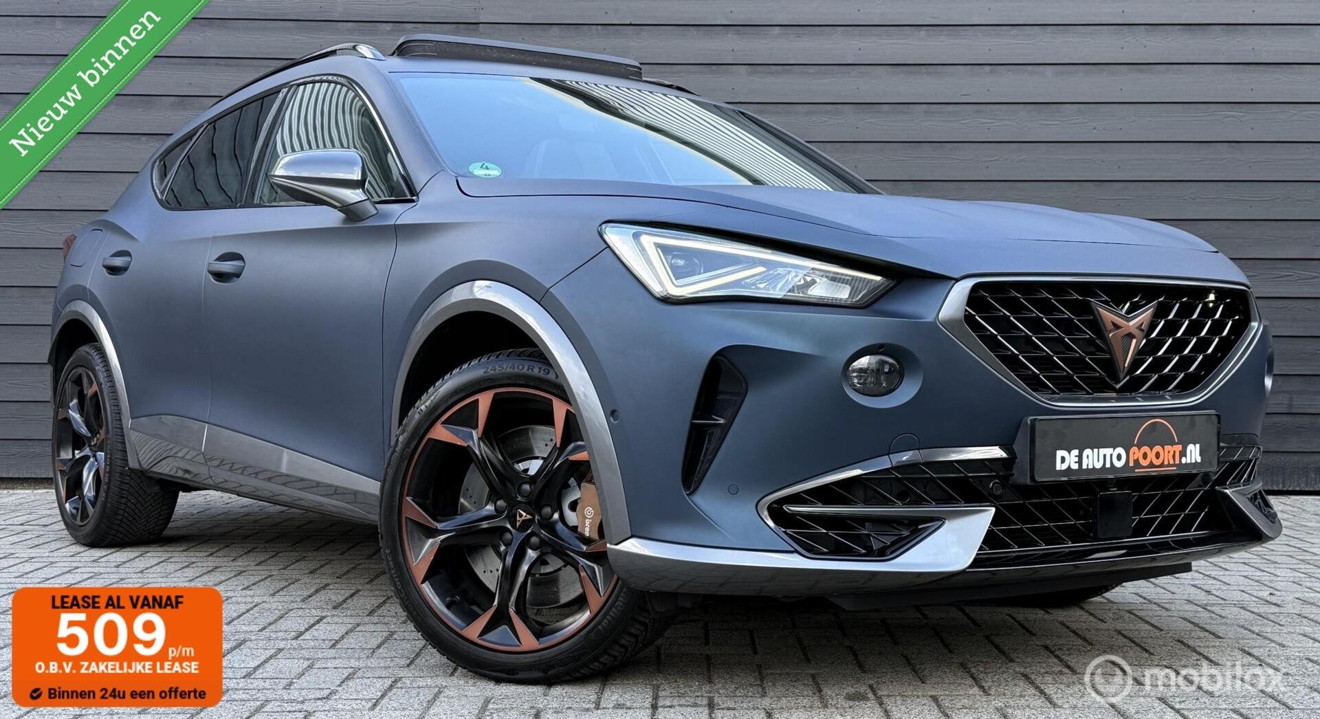 CUPRA Formentor 2.0 TSI 4DRIVE 310PK Pano.dak/MATT/Winterpac, Auto's, Cupra, Automaat, 4 cilinders, Blauw, Leder