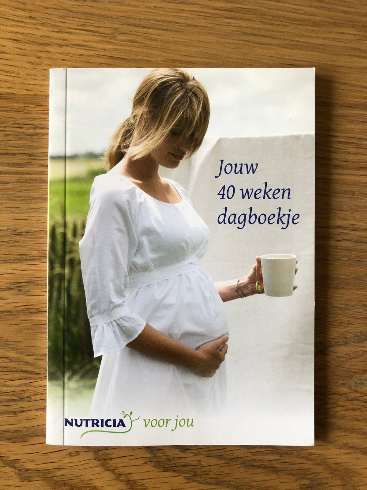 40 Weken mini dagboekje Nutricia (nieuw), Ophalen of Verzenden, Nieuw, Zwangerschap en Bevalling