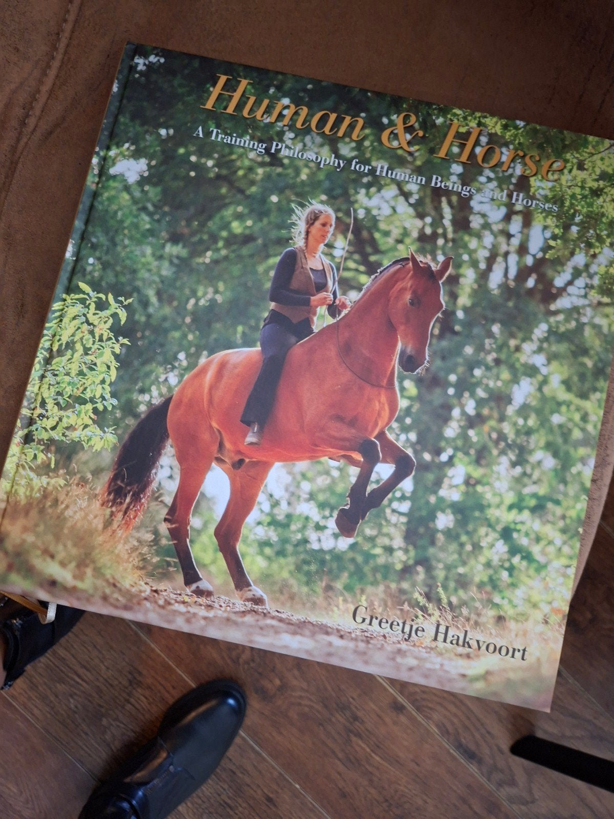 Boek Human & Horse van Greetje Hakvoort, Nieuw, Greetje, Beta, HBO