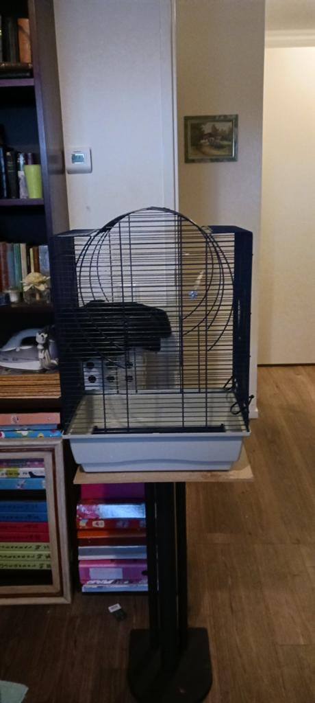 Vogelkooi, Dieren en Toebehoren, Ophalen, Zo goed als nieuw, Metaal, Vogelkooi