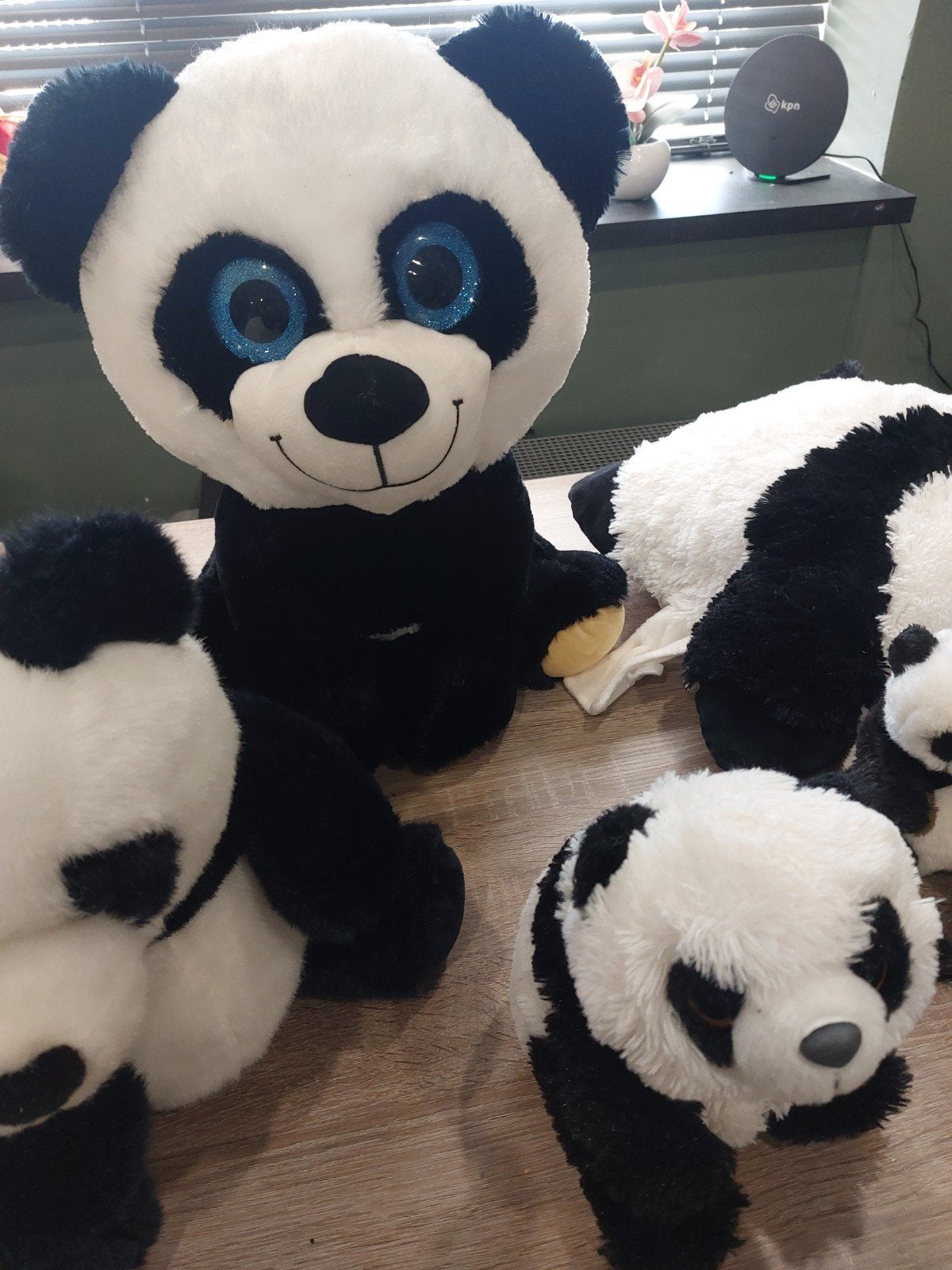 Panda knuffels, Ophalen of Verzenden, Zo goed als nieuw, Overige typen
