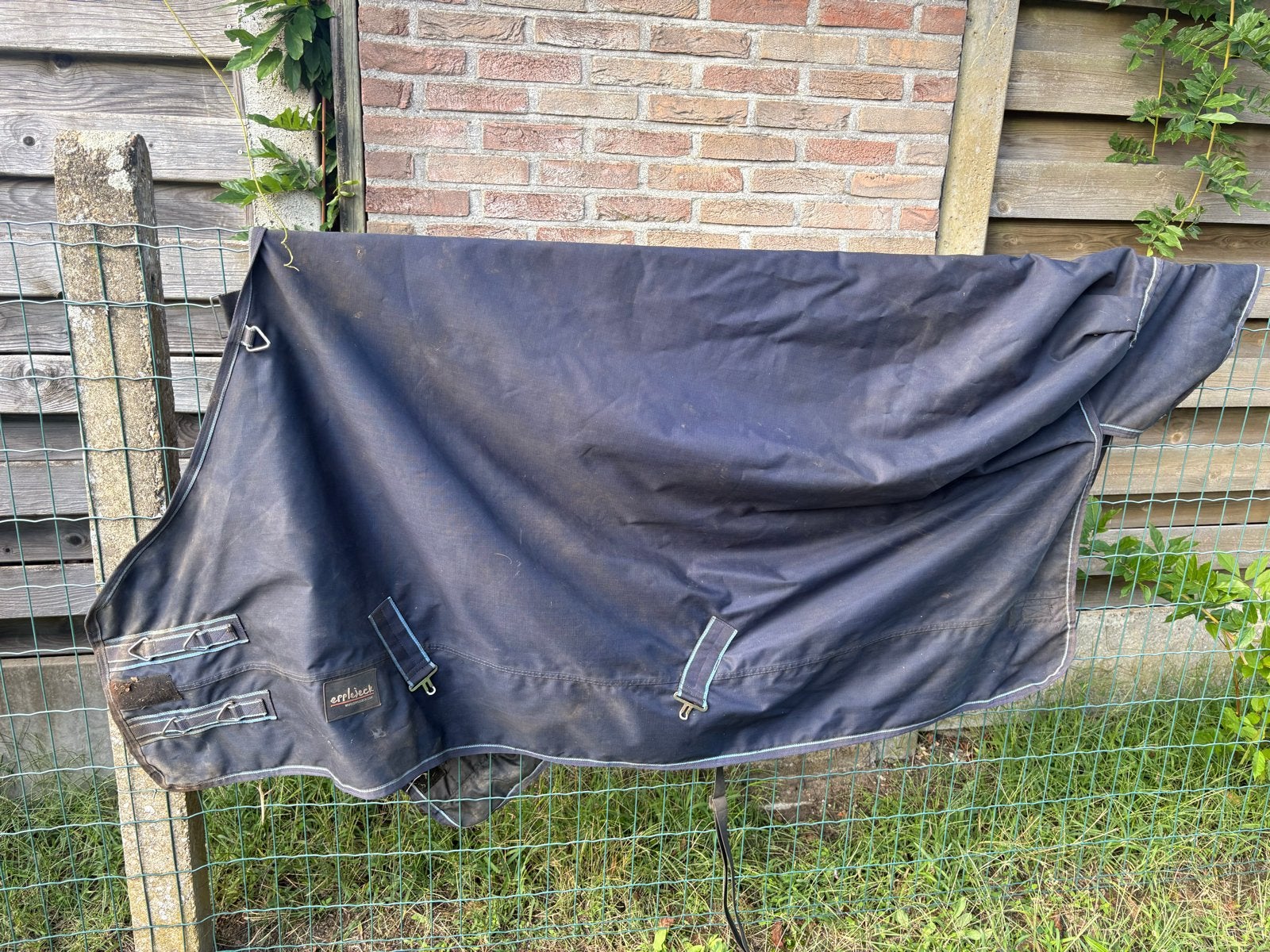 Paarden spullen, Ophalen of Verzenden