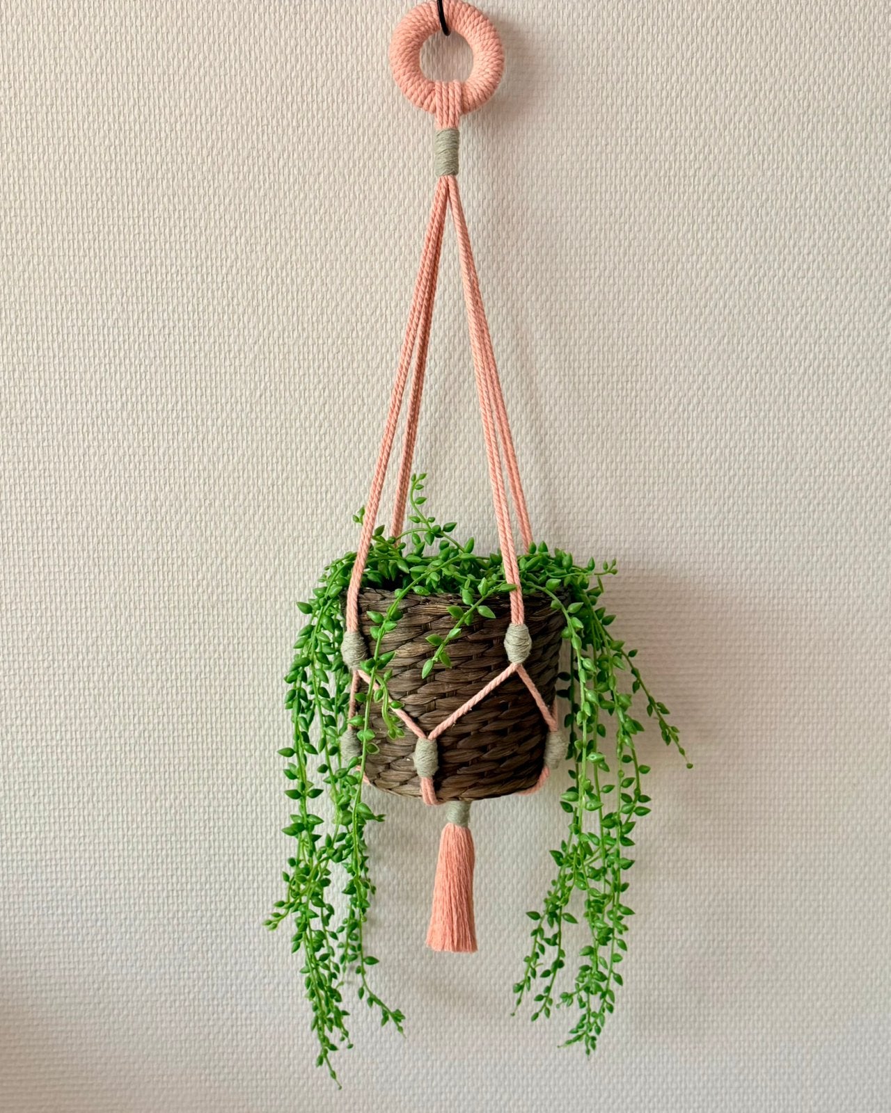 Lichtroze plantenhanger met mintgroen - 68 cm, 68 cm, Textiel, Nieuw, Ophalen of Verzenden