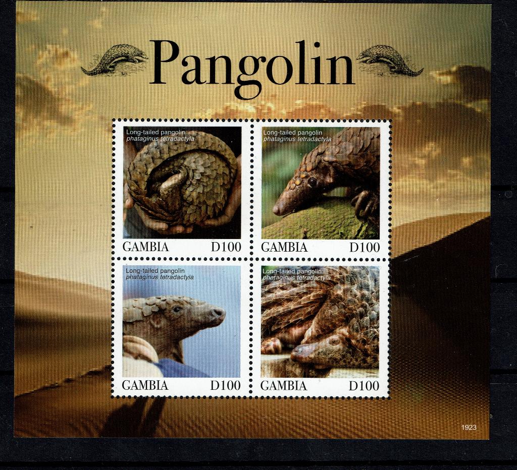 GAMBIA 2019 PF BLOK PANGOLIN WILDLIFE ZOOGDIERENN GORDELDIER, Ophalen of Verzenden, Postfris, Dier of Natuur
