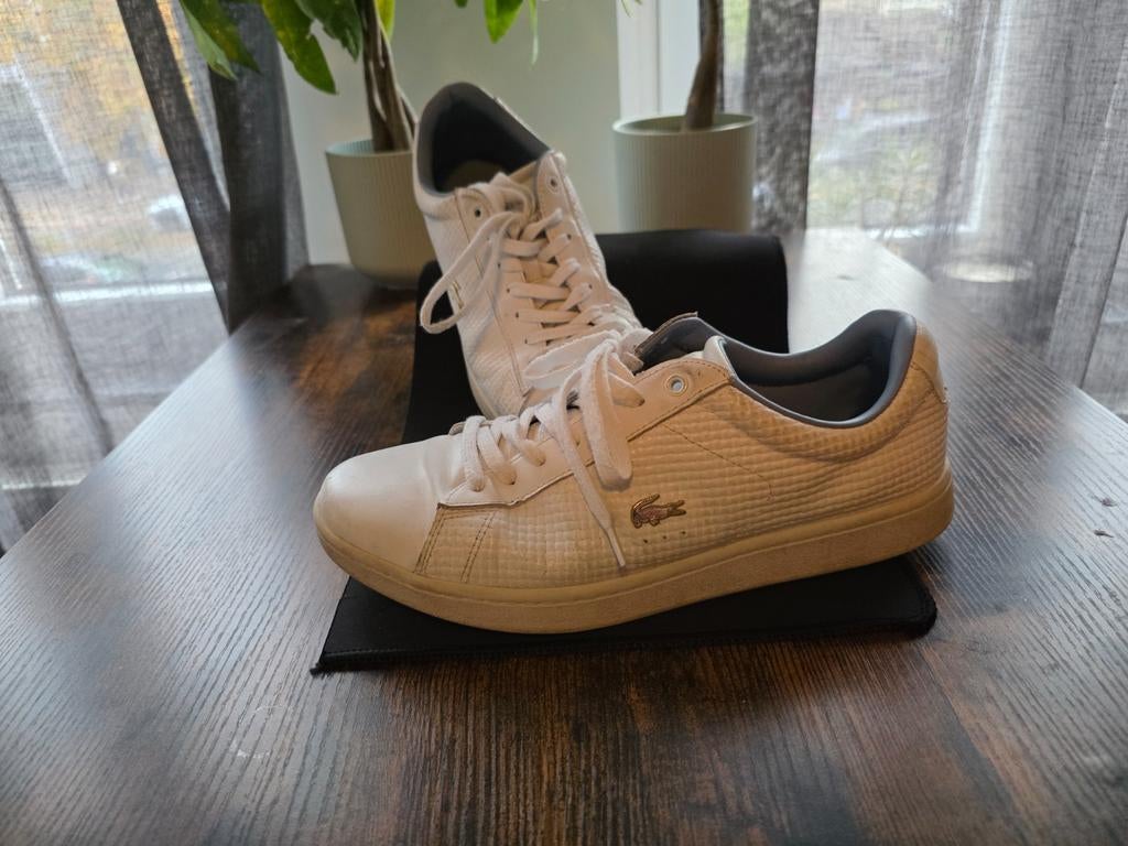 Lacoste schoenen, dames, 41, Kleding | Heren, Schoenen, Wit, Ophalen of Verzenden, Sneakers of Gympen, Gedragen