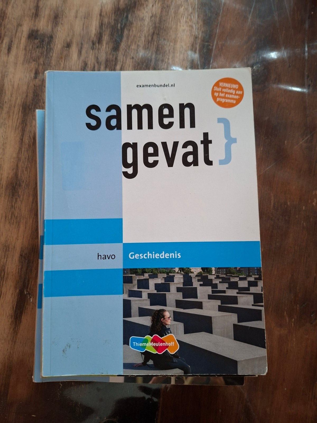 Havo 4/5 Samengevat, Nieuw Nederlands en Buitenland, Boeken, Ophalen of Verzenden, Gelezen, HAVO, Nederlands