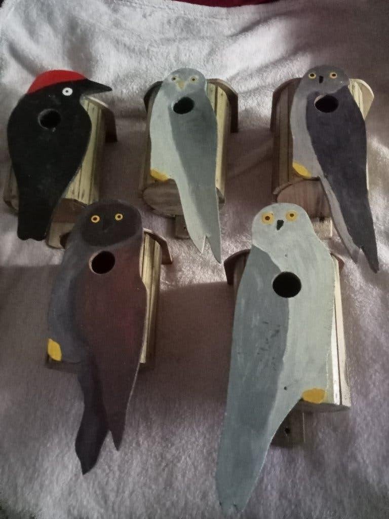 NIEUW 5 VOGELHUISJES NESTKASTJES SPECHT SPERWER UIL, Ophalen, Nieuw