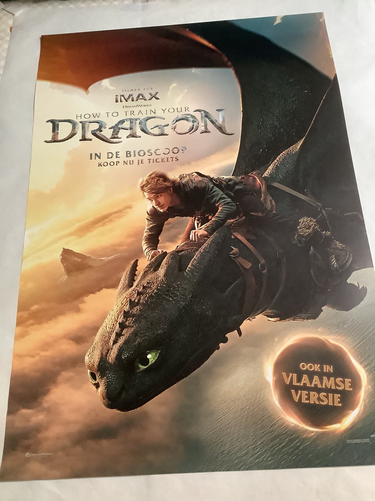 HOW TO TRAIN YOUR DRAGON   filmposter   70-100 cm, Ophalen of Verzenden, Zo goed als nieuw, Deurposter of groter, Film en Tv