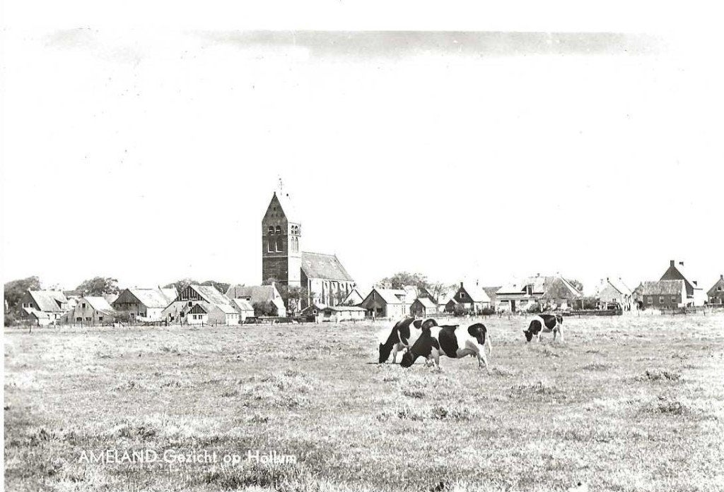 Jt-27-381  Ameland, Ophalen of Verzenden, Waddeneilanden