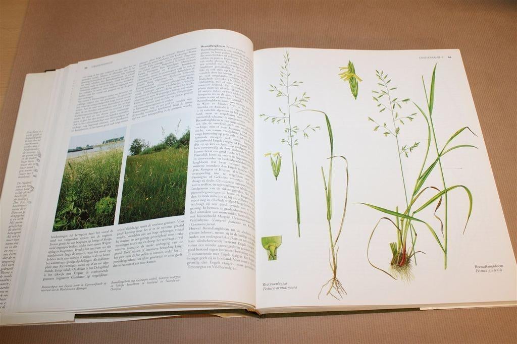 Ned. Oecologische Flora Deel 5 — Wilde Planten Weeda 1994, Ophalen of Verzenden, Gelezen, Bloemen, Planten en Bomen