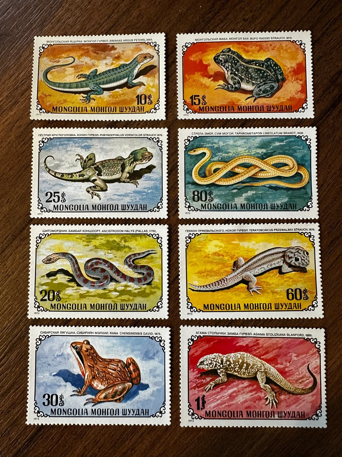 Mongolië 1972 Dieren reptielen amfibieen - Ongebruikt, Ophalen of Verzenden