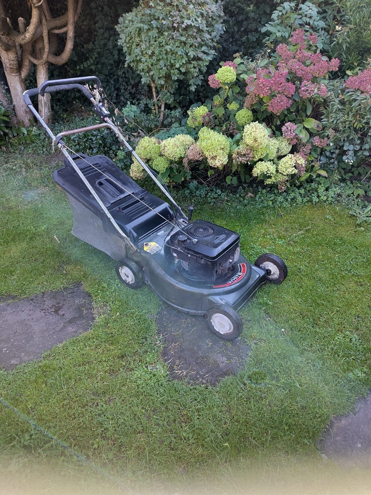 Gebruikte White grasmaaier met Briggs & Stratton motor, Cirkelmaaier, Gebruikt, 40 t/m 49 cm, White