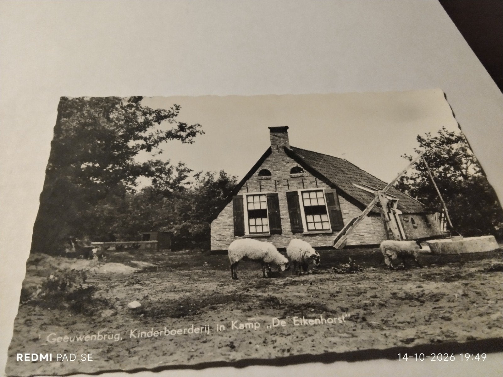 Oude Ansichtkaart Kinderboerderij De Eikenhorst Geeuwenbrug, Ophalen of Verzenden, 1940 tot 1960, Gelopen, Drenthe