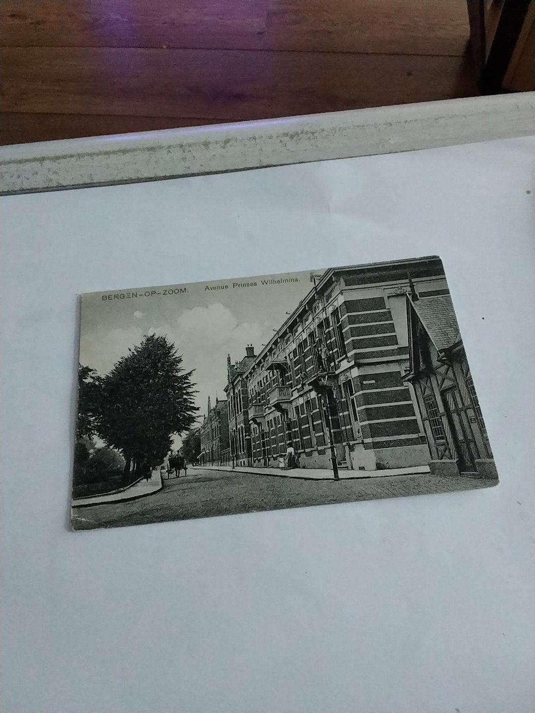 Oude Ansichtkaart Bergen op Zoom - Avenue Prinses Wilhelmina, Ophalen of Verzenden, Voor 1920, Gelopen, Noord-Brabant