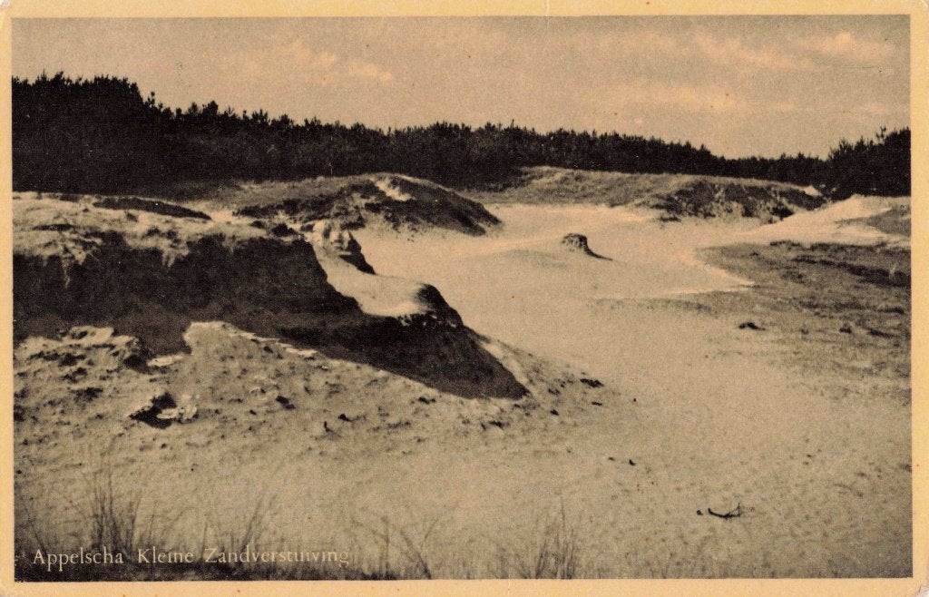 Appelscha Duinen de Kleine Zandverstuiving L3043, Ophalen, 1940 tot 1960, Gelopen, Friesland