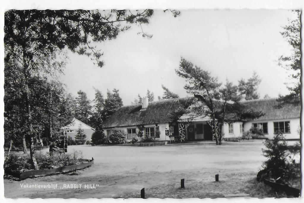 Nieuw millingen rabbit hill oude gelopen ansichtkaart 1798, Verzamelen, Ansichtkaarten | Nederland, Ophalen of Verzenden, 1960 tot 1980