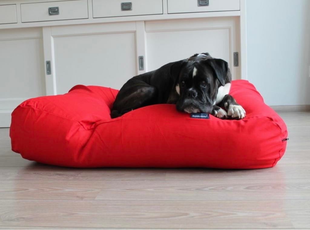 Honden hoes, Dieren en Toebehoren, Ophalen of Verzenden, Nieuw