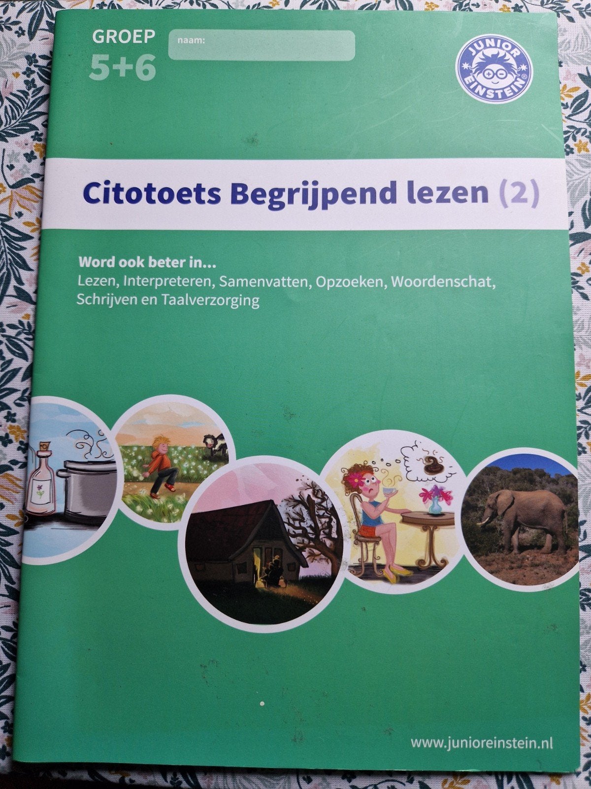Citotoets Begrijpend Lezen (2) Groep 5+6 Junior Einstein, Boeken, Schoolboeken, Zo goed als nieuw, Nederlands, Overige niveaus