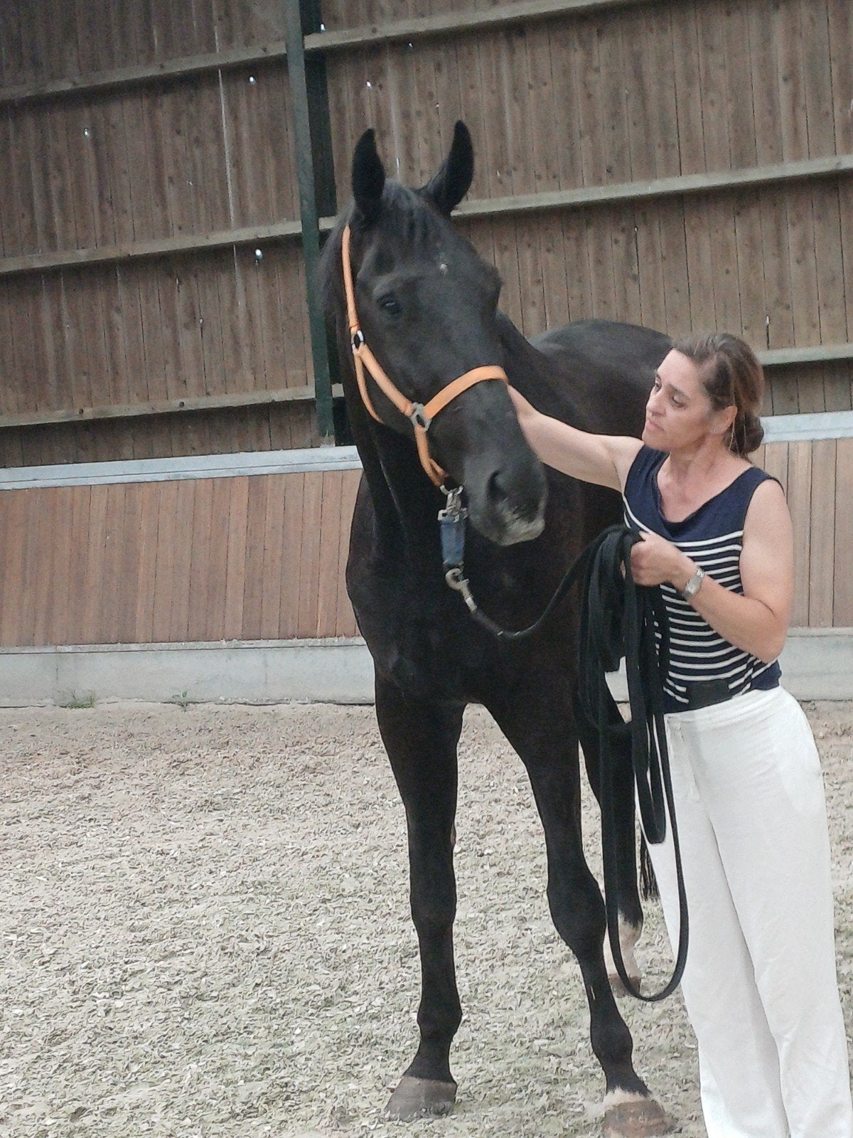 lieve  ruin  te koop, 175 cm of meer, Ruin, Dressuurpaard, 3 tot 6 jaar