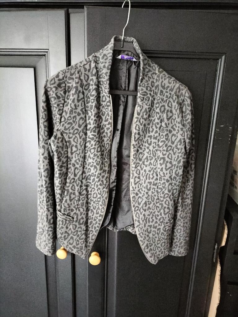 jasje/vest, Ophalen of Verzenden, Zo goed als nieuw, Jasje, Maat 36 (S)