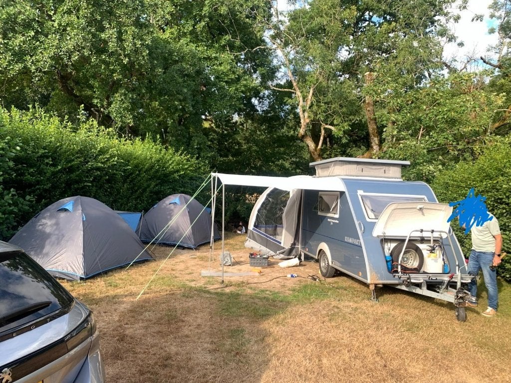 Kip kk 300 - shelter Limited Edition  nr. 71, Rondzit, Kip, Tot en met 2, Particulier