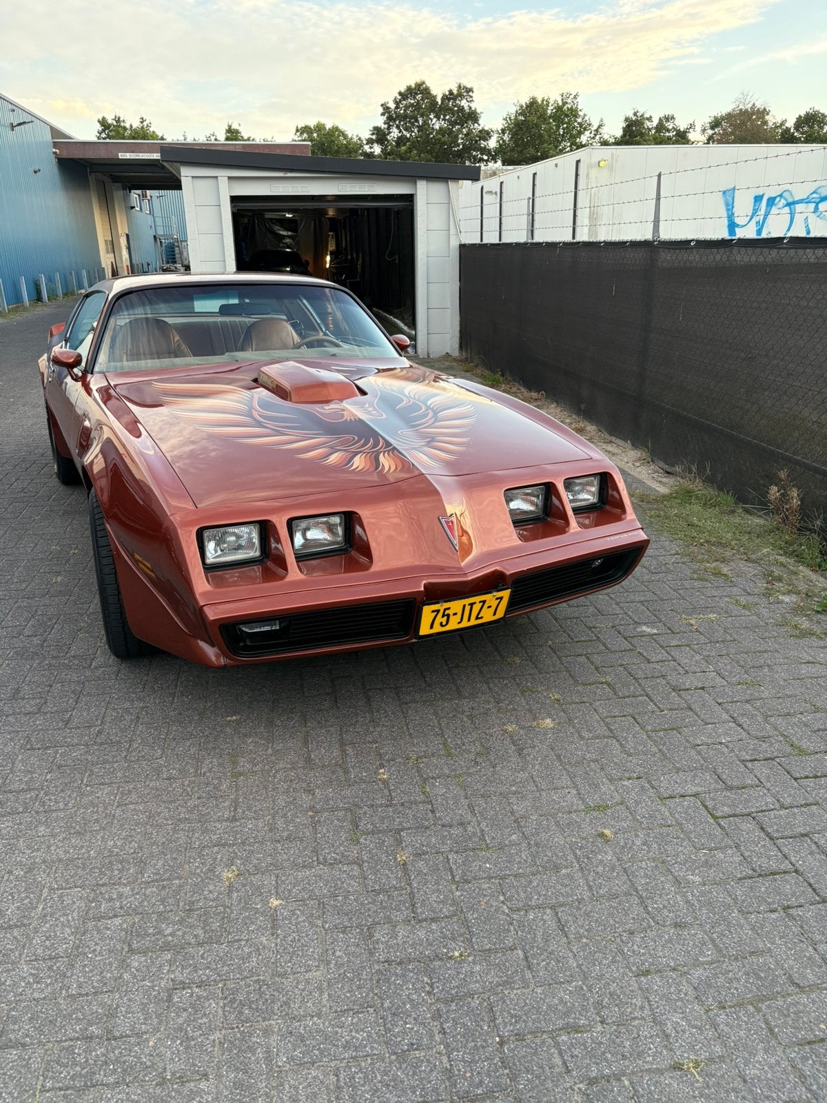 Pontiac 1980 Bruin, Automaat, 6600 cc, Bruin, Leder