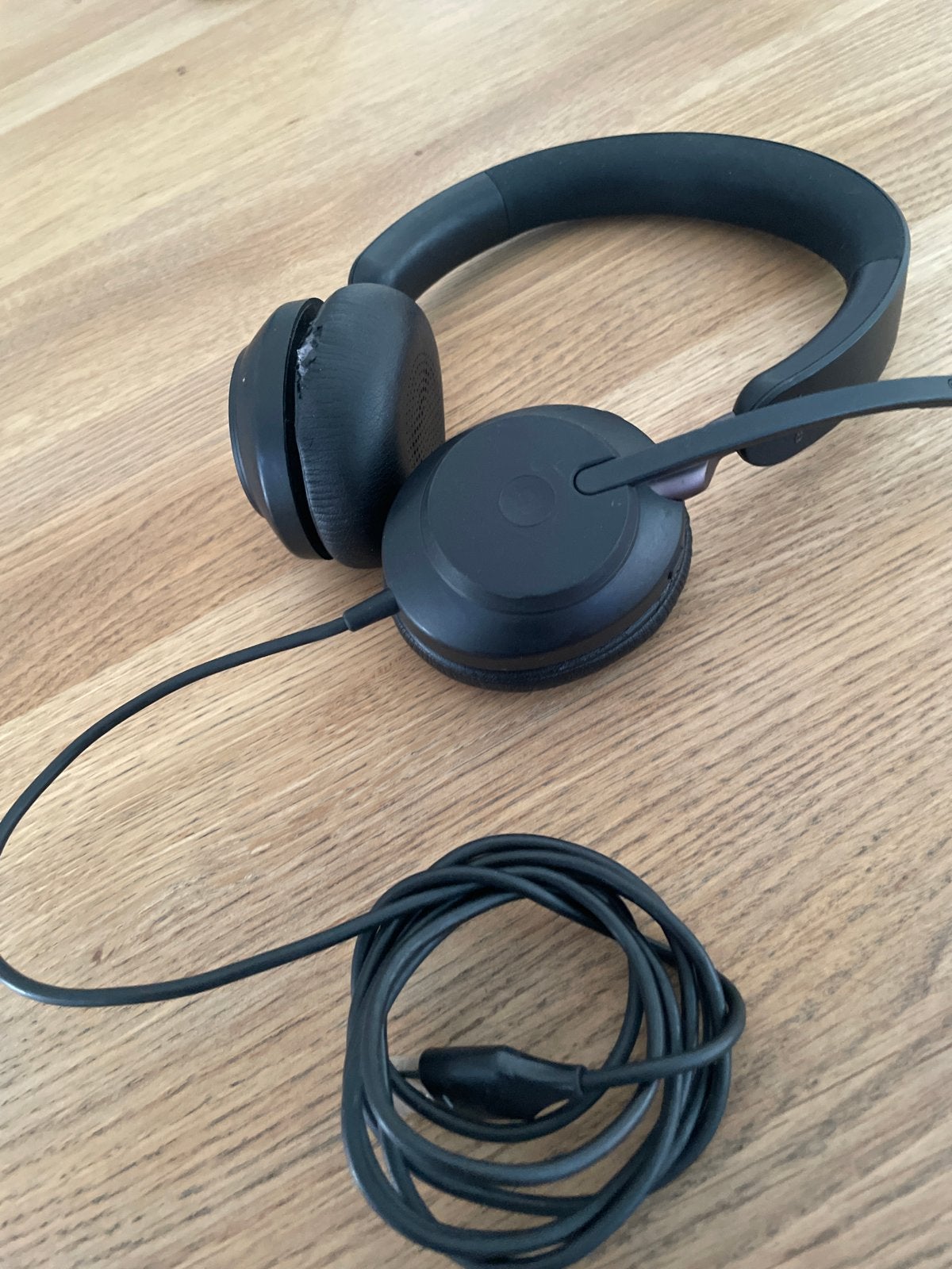 Jabra Evolve 2 USB Headset - Thuiswerken en Kantoor