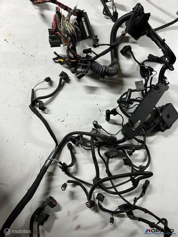 Kabelboom motor BMW E6x 535D M57D4, Gebruikt, Einsteinlaan 5 rijswijk, Bmw, Ophalen of Verzenden