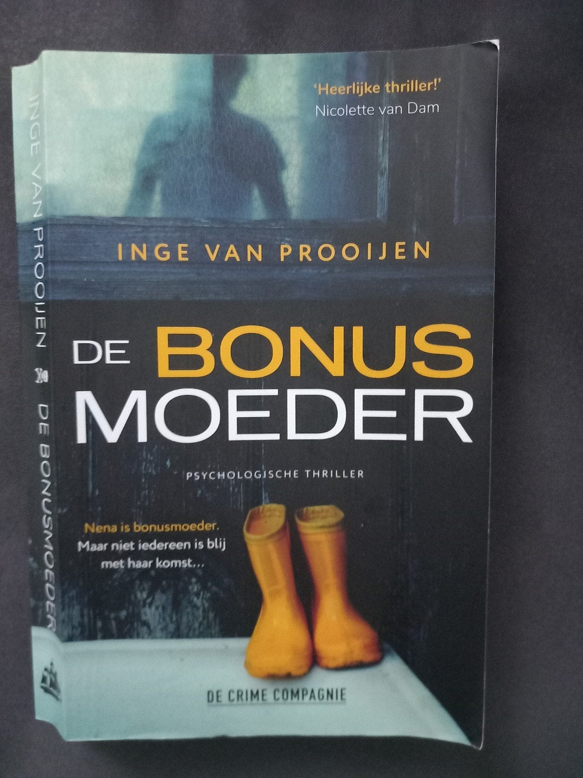 Psychologische Thriller Inge van Prooijen De Bonus Moeder, Ophalen of Verzenden, Zo goed als nieuw, Inge van Prooijen, Nederland