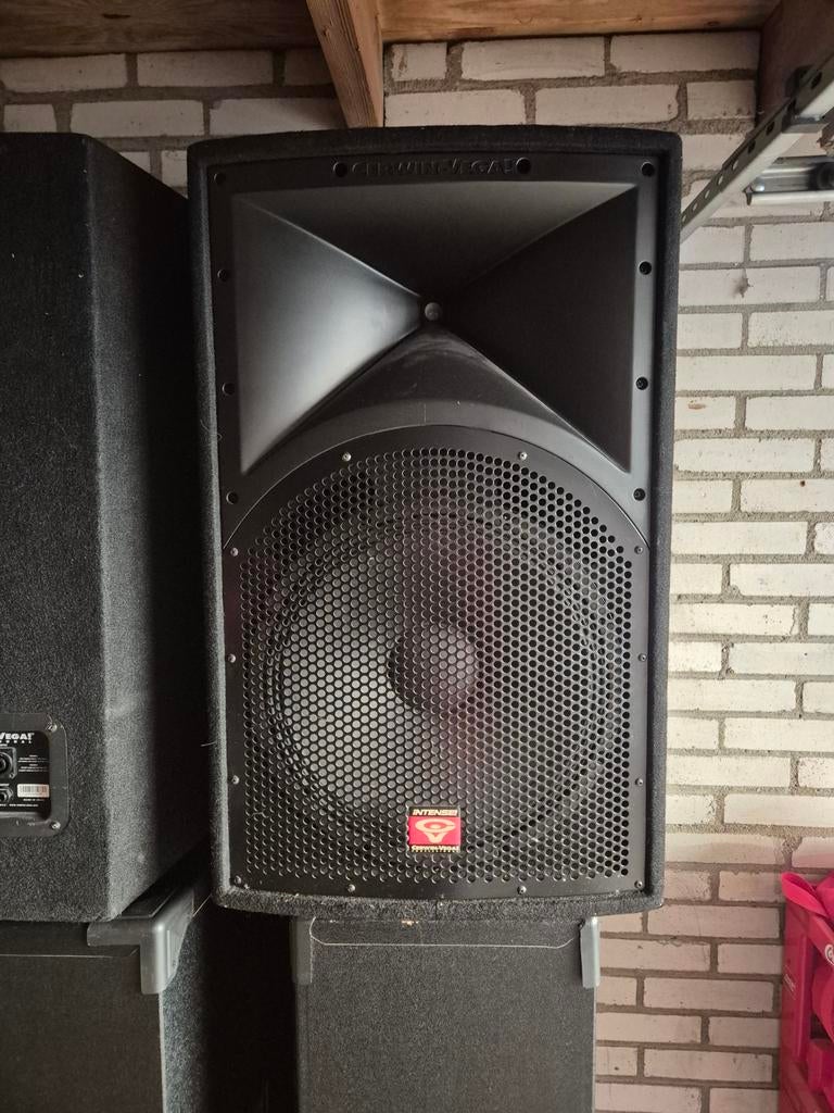 Cerwin-Vega! Intense! luidspreker, Audio, Tv en Foto, Luidsprekers, Overige typen, 120 watt of meer, Overige merken, Ophalen