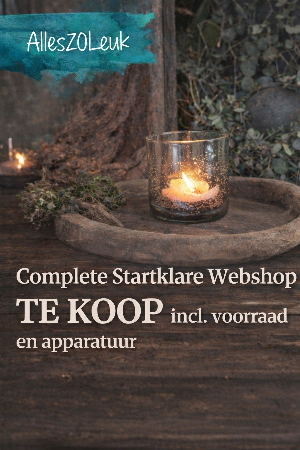 Complete webshop AllesZoLeuk te koop - Woondecoratie, Ophalen of Verzenden, Nieuw