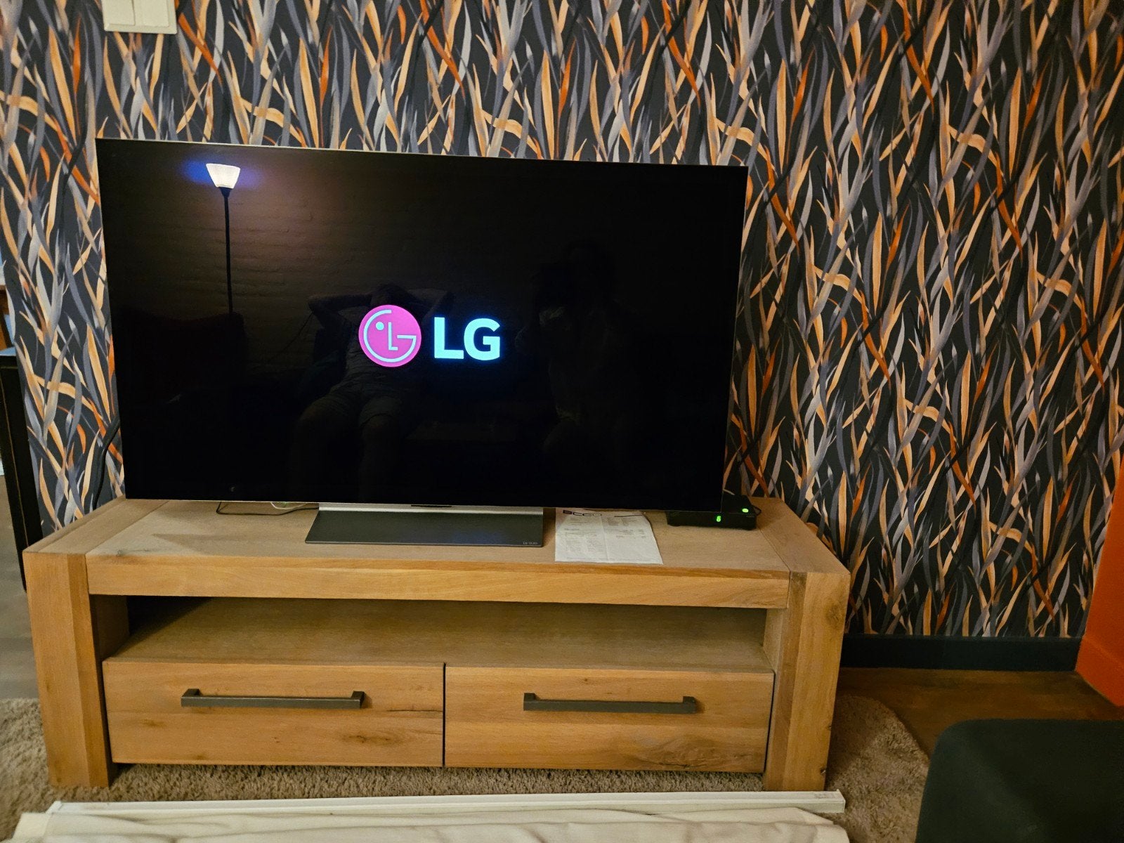 Buitenkansje, fraaie, grote LG OLED TV (55 inch), Ophalen, Gebruikt, 50 Hz, OLED