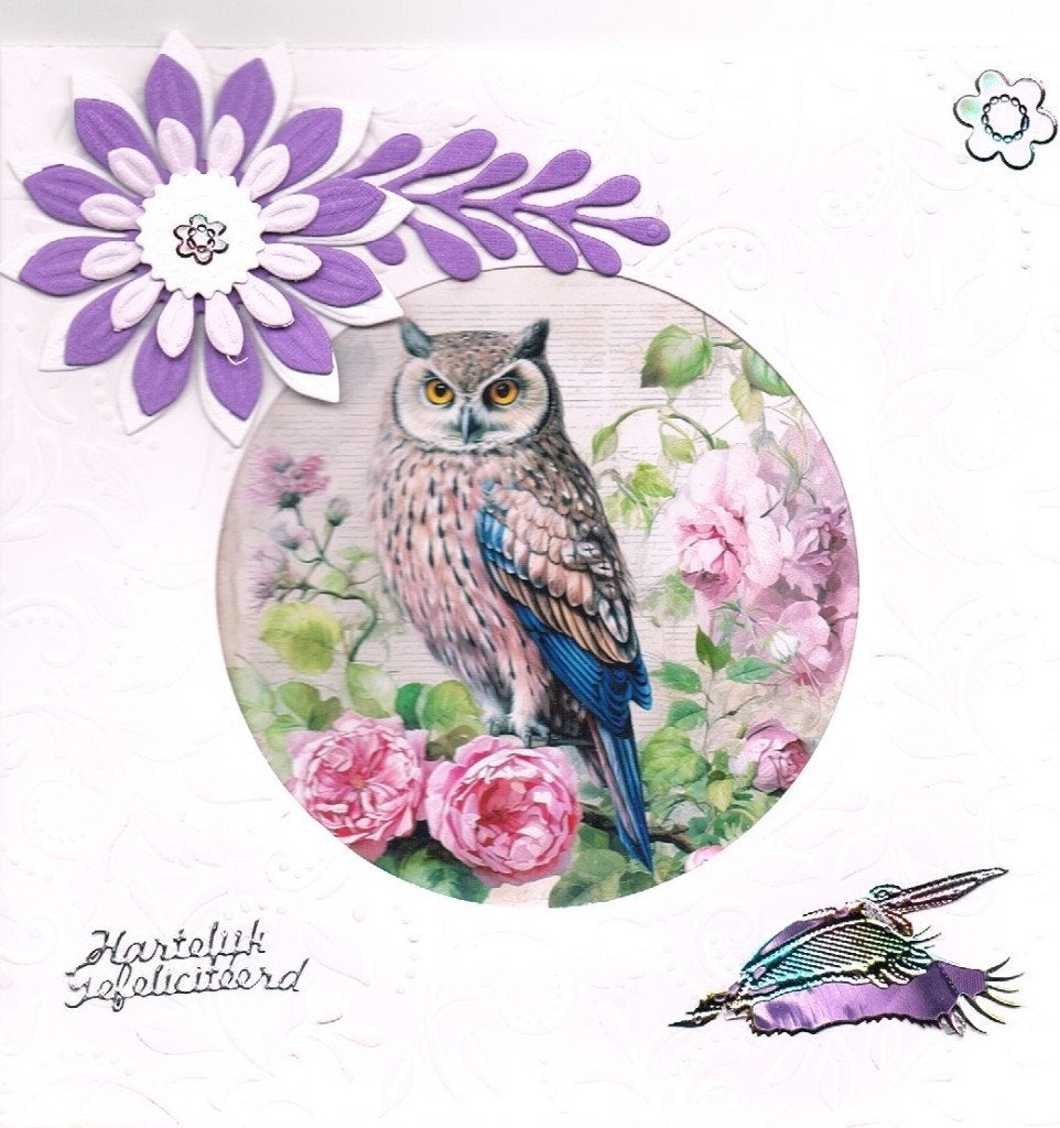 uil kaart, Ophalen of Verzenden, Nieuw, Dieren
