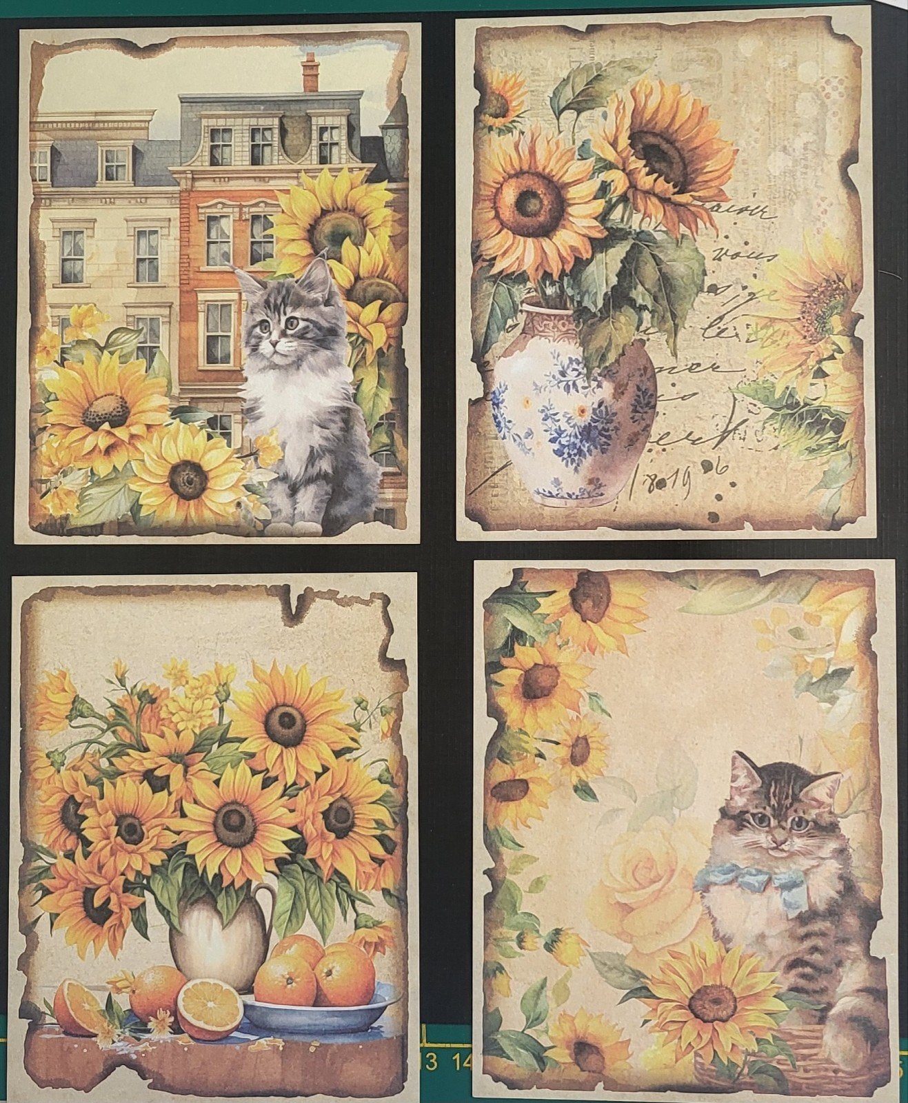 Scrapbook plaatjes  Zonnebloem/ kittens, Ophalen of Verzenden, Nieuw, Overige thema's, Knipvel