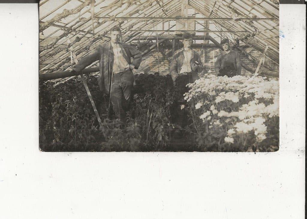 Poeldijk Wateringseweg Druivenkas v. Leeuwen met onderteelt, Ophalen of Verzenden, 1920 tot 1940, Ongelopen, Zuid-Holland