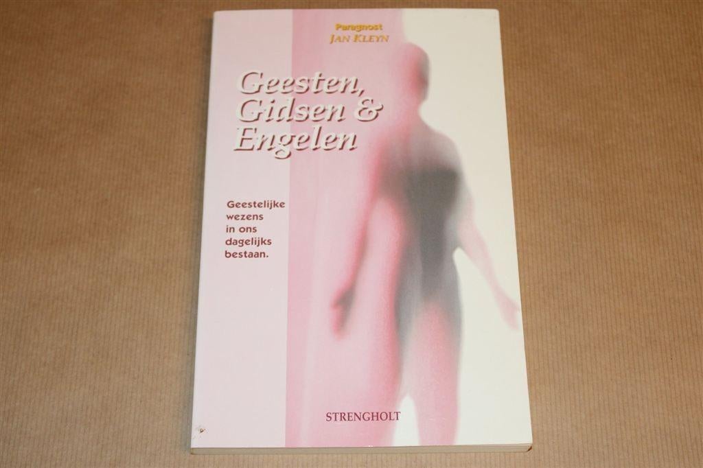 Geesten, Gidsen & Engelen — Gids over de Onzichtbare Wereld, Ophalen of Verzenden, Gelezen, Overige onderwerpen, Achtergrond en Informatie