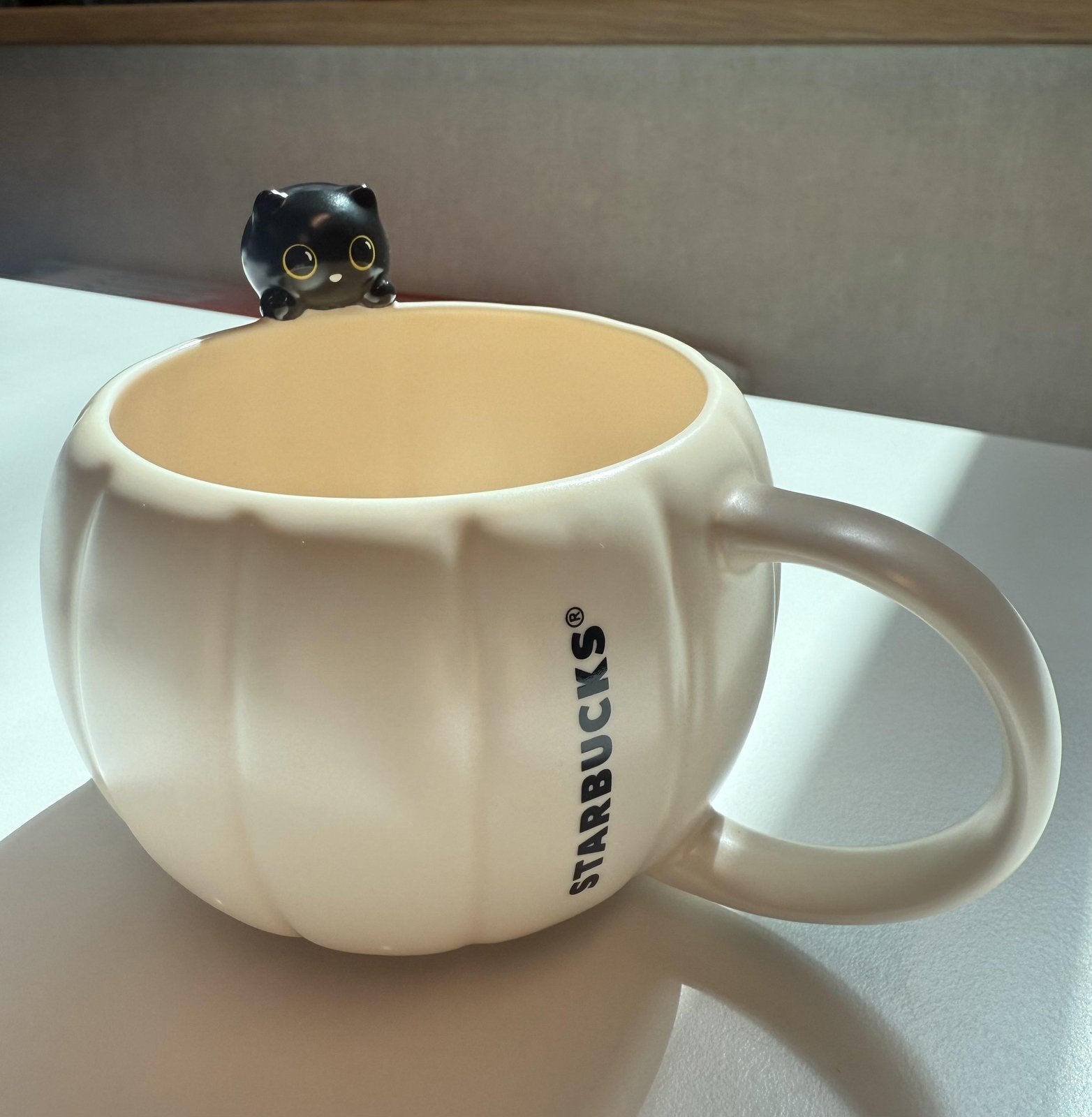 GEZOCHT: Starbucks kat mok/beker, Gebruikt, Ophalen of Verzenden, Bord(en), Overige stijlen