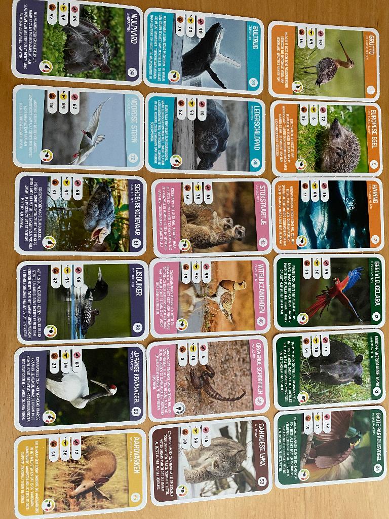 dierenplaatjes, Ophalen of Verzenden, Nieuw, Plaatje