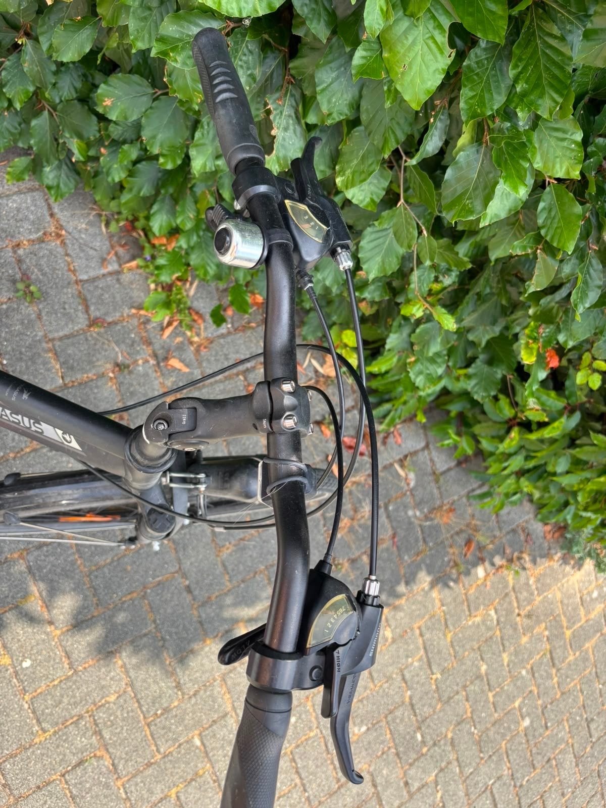 Pegasus damesfiets 21 versnellingen, 53cm, zwart, Fietsen en Brommers, Fietsen | Dames | Damesfietsen, Versnellingen, Ophalen
