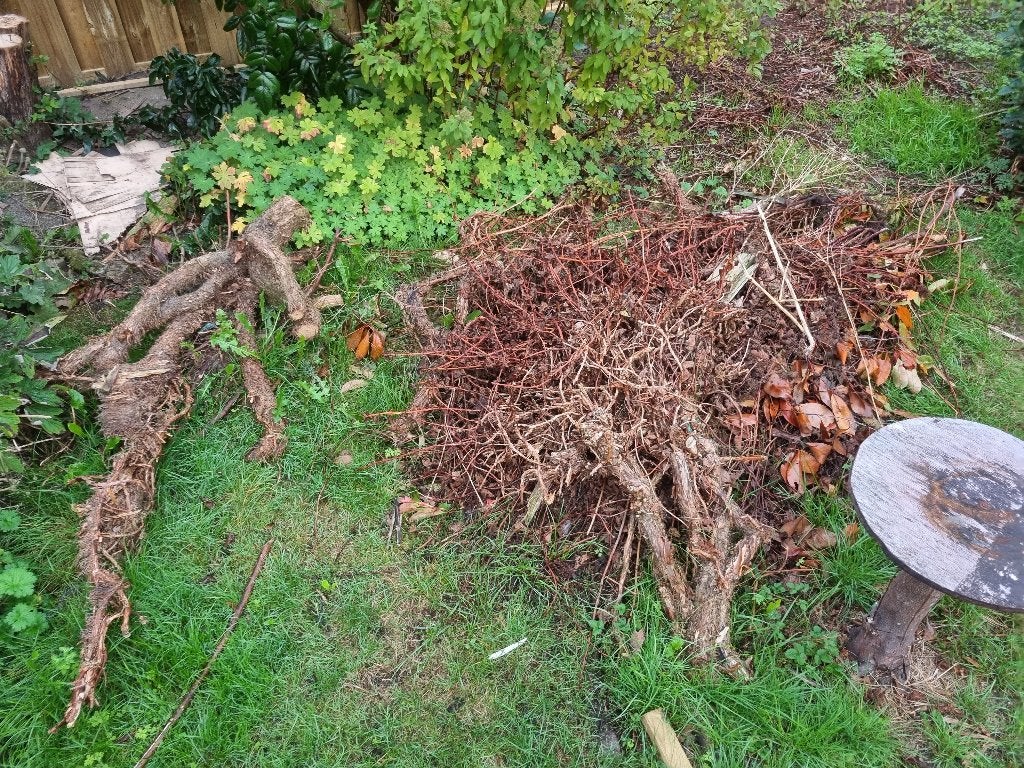 Snoeiafval/ tuinhout GRATIS, Minder dan 3 m³, Ophalen