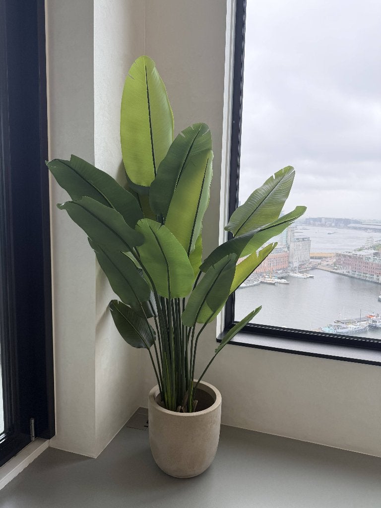 Artificial Strelitzia Plant 180cm Deluxe with Premium Pot, Huis en Inrichting, Kamerplanten, Overige soorten, In pot, 150 tot 200 cm
