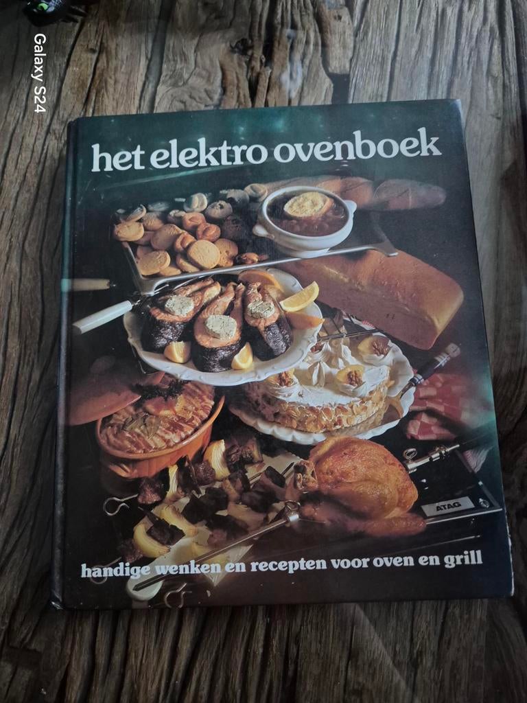 Het Elektro Ovenboek: Handige Wenken en Recepten, Boeken, Hoofdgerechten, Ophalen of Verzenden, Overige gebieden, Onbekend
